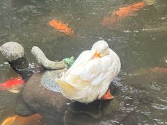 -北园酒家(小北路店)