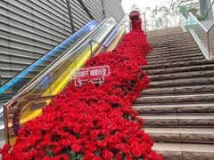-万科生活广场(东莞松山湖店)
