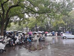 -武汉大学-樱园