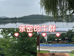 -宝业会稽山高尔夫俱乐部