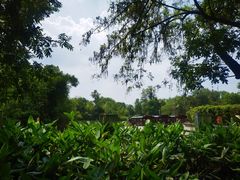 -西溪国家湿地公园