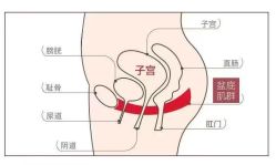 -孩子王(龙湖狮山天街店)