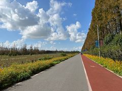 -上海长兴岛郊野公园