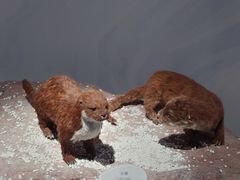 -中国湿地博物馆