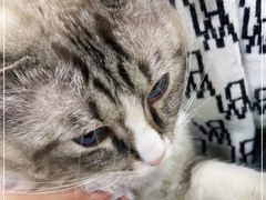 -白兔子密室(长寿路店)