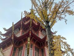 -龙潭水乡