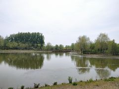 -东郊湿地公园