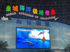 -泉城欧乐堡海洋极地世界