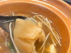 -大中鱼翅 Taitong Shark Fin