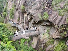 -天台山琼台仙谷景区