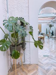 -Hair Co.一间沙龙