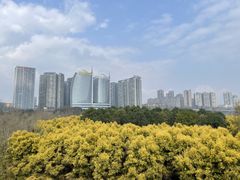 -忘情水鱼头·鲜鱼火锅(滨江中路店)