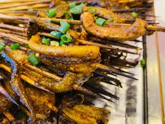 鳝鱼-晓靖轩烧烤(沙河风情店)