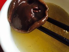 -波密野生菌王酒家