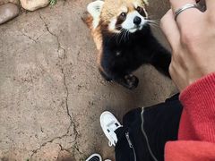 -云南野生动物园