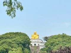-苏州上方山国家森林公园