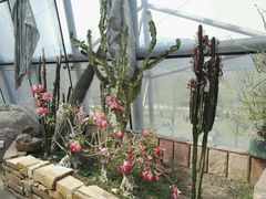 -北京植物园-展览温室