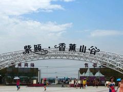-紫颐香薰山谷景区
