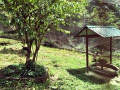 -吉隆坡雀鸟公园