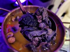 -Darling Queen·Mini·Live·House