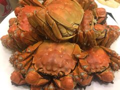-王宝和酒家(黄浦店)