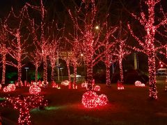 -常州环球恐龙城维景国际大酒店