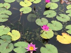 -神光山国家森林公园