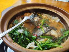 -九道菜有鸡鱼头(石鼓路店)