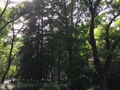-山东大学(趵突泉校区)