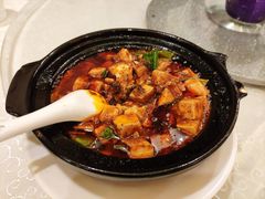 金牌麻婆豆腐-陈麻婆豆腐总店