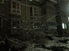 -奈雪的茶(中粮祥云小镇店)