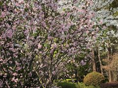 -徐家汇源景区-衡山公园