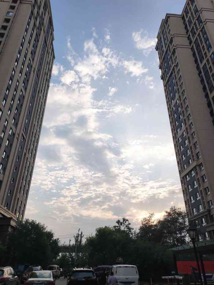 "-大众点评移动版