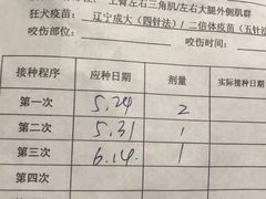 -上海市普陀区中心医院