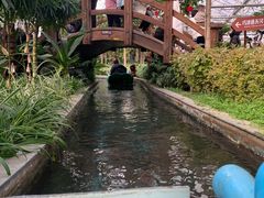 -南宫五洲植物乐园