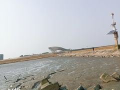 -南汇嘴观海公园