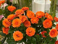 -花屿鲜花(淡水店)