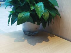 -德克士(城南店)