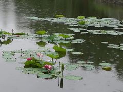-范蠡湖公园