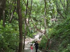-大岭沟猕猴桃谷风景区
