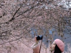 -国际非物质文化遗产博览园