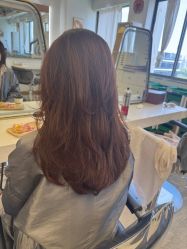 -镁连社·美联社