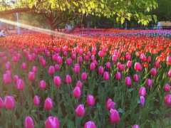 -长春公园(普阳街道)