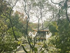 -岳麓山风景名胜区