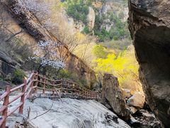 -黑龙潭风景区