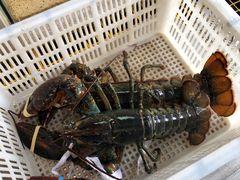 -青石桥市场北1-27号