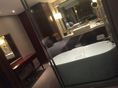 环球恐龙城维景国际大酒店-常州环球恐龙城维景国际大酒店