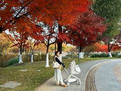 -阳澄湖费尔蒙酒店颐丰阁中餐厅(马鞍山西路店)