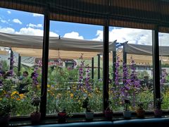 景观位-玫瑰西餐厅.意面披萨.牛排咖啡