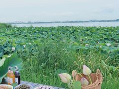 -七的湖·晚芳亭·阳澄湖农家菜·大闸蟹(莲花岛店)